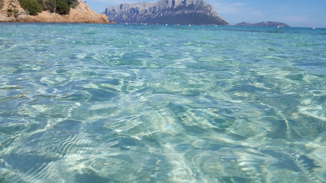 Spiaggia del Dottore