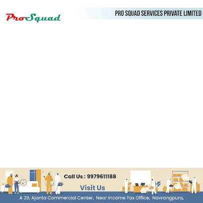 Pro Squad Services Private Limited - Pest Control- Termite Treatment