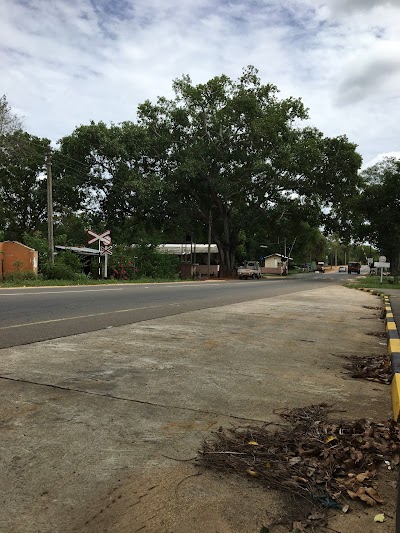 Photos of Habarana
