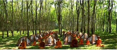 Photos of ศูนย์ปฏิบัติธรรมด่านเจดีย์สามองค์