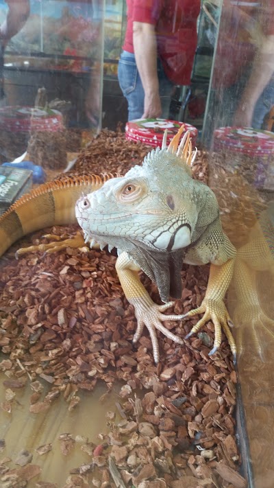 Photos of Susan's World of Pets