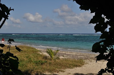 Photos of Great Bird Island