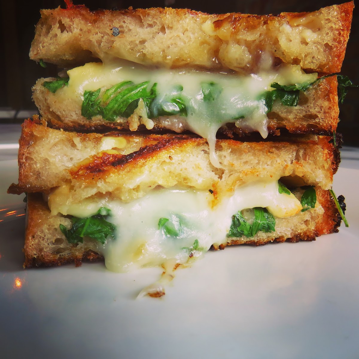 Roasty Toasty — photo 5