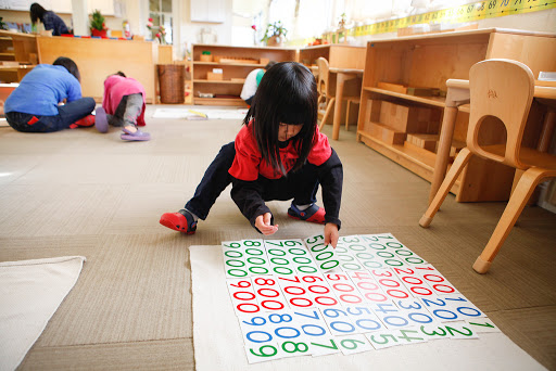 Global Montessori International School - Thumbnail