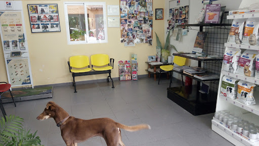 Clínica Veterinària Les Salines - Thumbnail