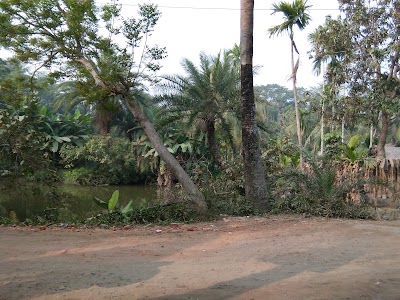 Photos of Polbazzar