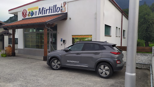 Il laboratorio" il mirtillo"