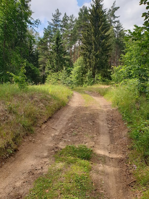 Juodlė cognitive path