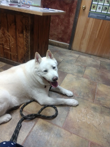 Mountain Vista Veterinary Services