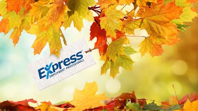 Express Employment Professionals