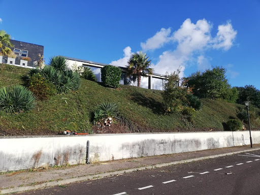 Rêvons Vert - Visual
