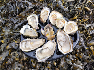 Photo n°18 de La Cabane de Cadoudal - Dégustation huitres au bord de la Ria d' Etel & vente directe à Locoal-Mendon (Restaurant de fruits de mer)
