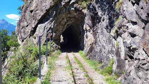 Tracciolino - Visual