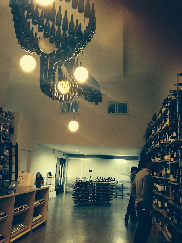 Grape Collective