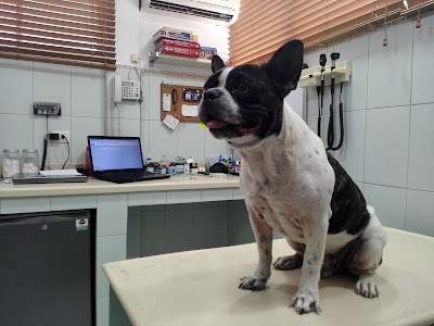 Photos of ASM - Veterinary