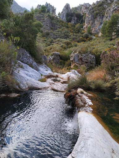 Sendero Cascada de los Árboles Petrificados - Thumbnail