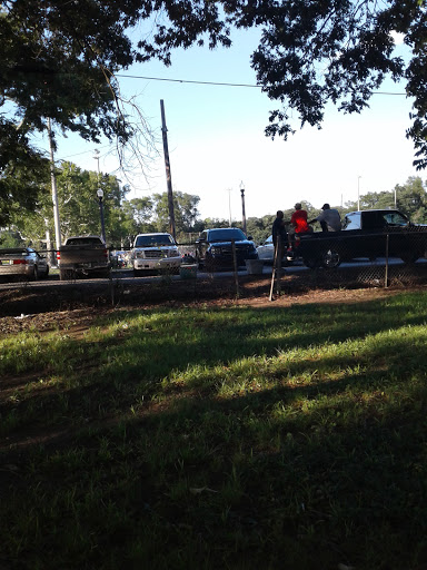 McAlpine Park - Visual