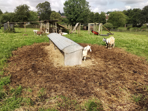 Grimsbury Community Farm - Thumbnail