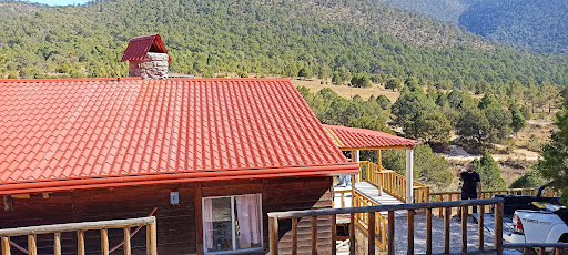 El Costillín