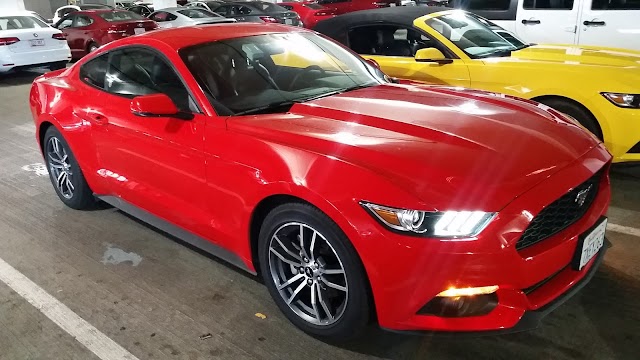 Avis Car Rental