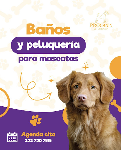 ProCanin Veterinaria