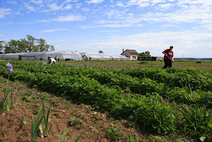 Photo n°3 de Ferme Saint-André - Adèle de Glaubitz à Cernay (Maraîcher)