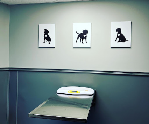 Animal Clinic of Hammonton - Thumbnail