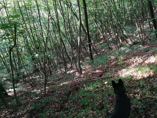 Monte Corno - Visual