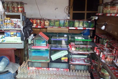 Toko Jual Ikan Cupang Hias Aquarium Mini Banten Telepon 62