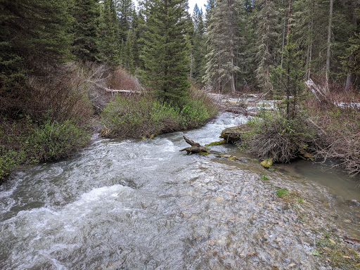Moose Creek Trailhead - Thumbnail