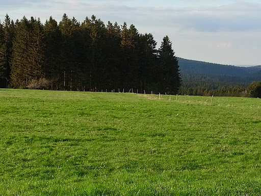 Bibelheim Am Rennsteig - Visual