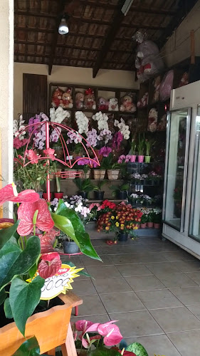 Avaliações sobre Nasce Uma Flor Floricultura em Goiânia - Floricultura