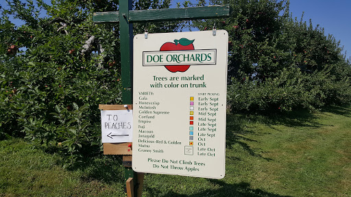 Doe Orchards - Visual