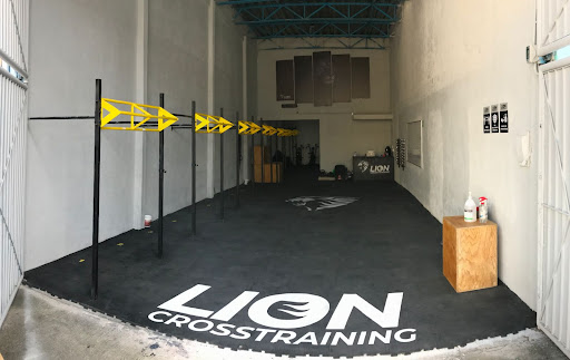 Lion Crosstraining