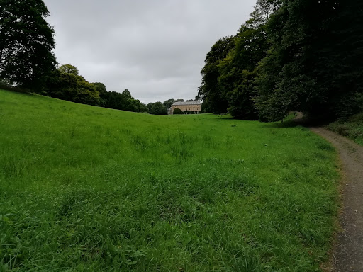 Bodmin - Visual
