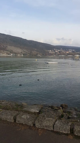 Rezensionen über Fischerverein Erlenwäldli in Biel - Sportstätte