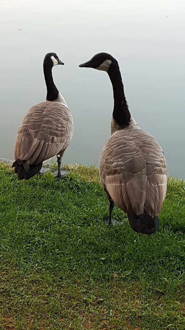 Parc Maria Hendrika