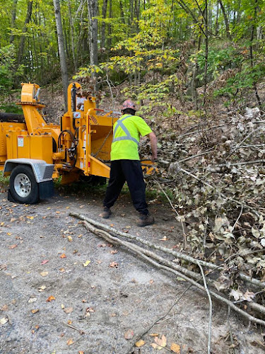 MacAulay Tree Services work photo 1