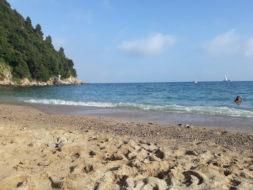 Baia Blu - Visual