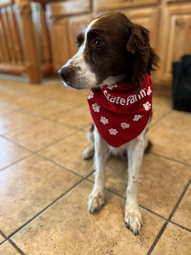 Heidi Baker - State Farm Insurance Agent
