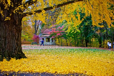 Photos of Indiana University Bloomington