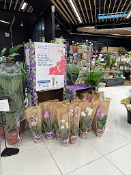 Photo n°8 de L'Univers Floral - E.Leclerc à Lannion (Fleuriste)