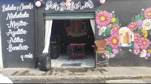 Gerbeberas - Visual
