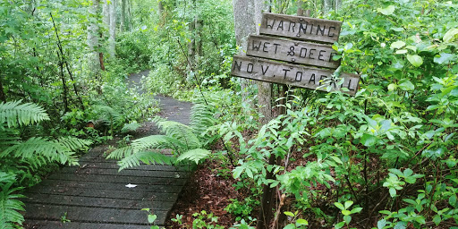 Evert Trail Preserve - Thumbnail