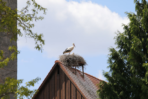Storchenlehrpfad Uehlfeld - Thumbnail