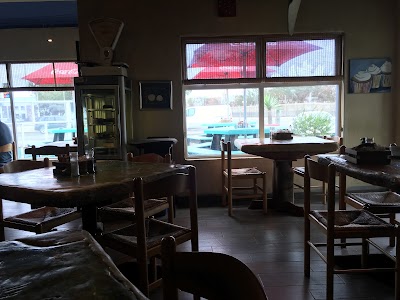 Photos of Dolphins a Coffee Shoppe