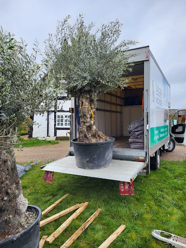 Jagger Movers - Visual