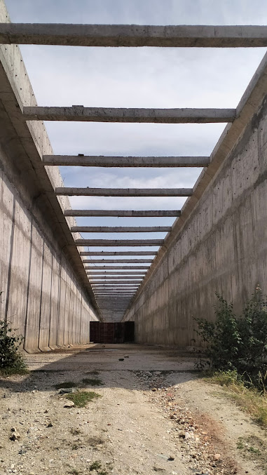 Af1qipn3v96ckdnomsuo9 Zex Ijjap Gu6gqf6bewob=s677 K No