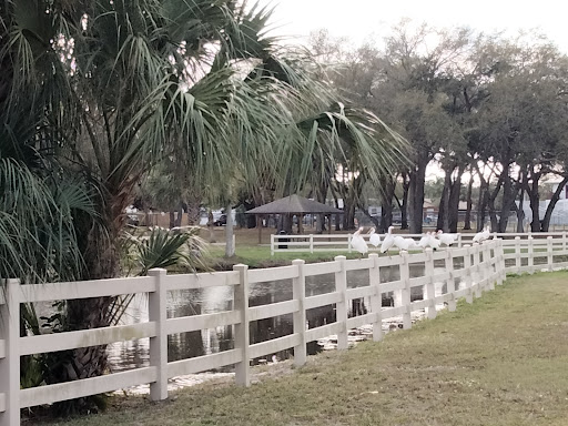 Norma Lloyd Park - Thumbnail