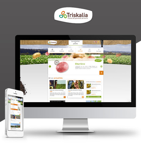 Avis sur Watermelon pixels à Brest - Concepteur de sites Web